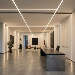 Tira de LED COB de Alta Luminosidad y Corriente Constante Directo de Fábrica para Iluminación de Larga Distancia 20M SIN Caída de Voltaje - Product Image 2