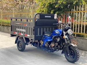 Carga pesada 200cc <span class=keywords><strong>moto</strong></span> carga triciclo alto rendimiento gasolina tres ruedas carga van <span class=keywords><strong>carguero</strong></span> Tuk - Product Image 6