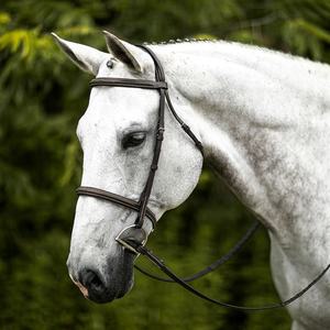 Bridon de dressage Premier en cuir souple de qualité supérieure, confortable pour l'entraînement et la compétition - Product Image 2