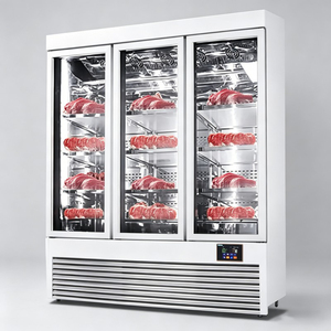 Congélateur commercial à trois portes pour bœuf, type ventilé, pour la maturation et la conservation de la viande - Product Image 1