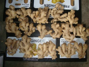 2025 mới gừng tươi 250g + Kích thước 10 tấn đóng gói nguyên liệu gừng - Product Image 4