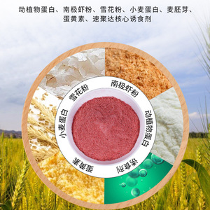 Cebo granular Jugong Small Whitebait 450g para pesca con flotador y de fondo de peces de agua dulce - Product Image 4