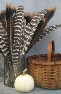 Nhuộm Màu Đen Màu Xanh Trắng Nguyên Liệu Đầy Màu Sắc Số Lượng Lớn Hoa Plumas Tự Nhiên Chim Cánh Điểm Lông Lông Đuôi Thổ Nhĩ Kỳ Lông Để Bán Hat Trang Trí - Product Image 3