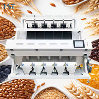 Machine de tri optique pour noix et graines, équipement de nettoyage, trieuse chromatique pour citrouille, noix de cajou, amandes, arachides