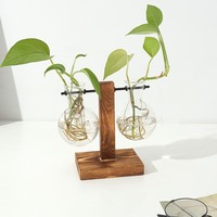Vase hydroponique créatif transparent pour la culture aquatique de roses vertes, en verre, design simple et moderne pour la maison