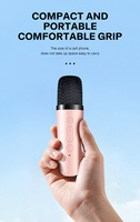 Mini microphone portable, audio intégré, machine de karaoké familiale, haut-parleur sans fil BT pour l'extérieur