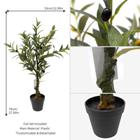 Petits oliviers en pot de 70 cm (2 pieds) avec tronc et tiges en bois pour la décoration de salle à manger, plantes d'intérieur – Vente en gros