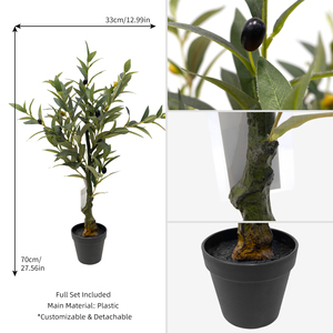 Petits oliviers en <span class=keywords><strong>pot</strong></span> de 70 cm (2 pieds) avec tronc et tiges en bois <span class=keywords><strong>pour</strong></span> la décoration de salle à manger, plantes d'intérieur – Vente en gros - Product Image 3