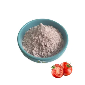Fabrik lieferant Natürliches Tomatensaft pulver Geschmacks pulver