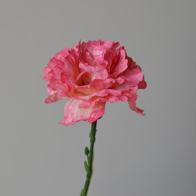 สีชมพูยอดนิยม