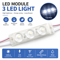 Módulo de Luz LED de 3 Colores Personalizado para Aplicaciones Decorativas y Publicitarias