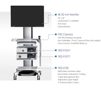 Caméra d'endoscopie Full HD YKD-9103T pour ORL/laparoscopie/hystéroscopie/urologie/arthroscopie