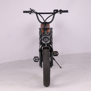 Factory Wholesale <b>Electric</b> Road <b>Bike</b> Fat Tire <b>Electric</b> Adults Hybrid <b>Electric</b> <b>Bike</b> <b>Electric</b> Dirt <b>Electric</b> Mountain <b>Bike</b> - Product Image 6