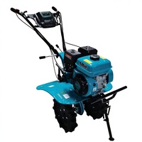 Mini tractor de arrastre tipo 800 TL1WG3.8 50FQ con motor de gasolina y caja de cambios con transmisión por cadena, equipo agrícola para surcos estrechos.