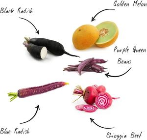 Mini moderno Kit <span class=keywords><strong>da</strong></span> <span class=keywords><strong>giardino</strong></span> Bonsai insolito insolite stile di Design per la casa di fattoria all'aperto vivaio <span class=keywords><strong>fiori</strong></span> ortaggi frutta <span class=keywords><strong>alberi</strong></span> - Product Image 2