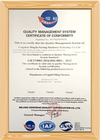 Machine de marquage laser entièrement automatique dédiée au codage de date pour la production vidéo