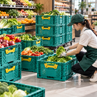 Caisses en plastique pour légumes de qualité alimentaire PP 606x408x225mm, robustes, empilables, pliables, pour le transport et le stockage