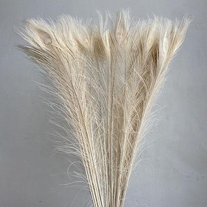 20 Pcs/lot Plumes Blanches Naturelles Panache D'autruche Pour Artisanat Bricolage Plumes De Mariage Pour La Fabrication De Bijoux Décoration De Fête à La Maison-plume De Dinde