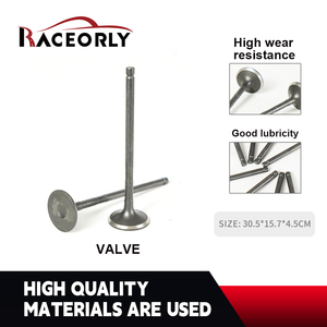 레이스롤리 엔진 배기 밸브 세트 (8개) 재규어 랜드로버 AJ200 204PT OE LR030370 용 - Product Image 2