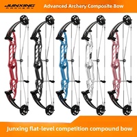 Ensemble d'arc et de flèches Junxing H20 pour le tir à l'arc professionnel, la compétition et l'entraînement sportif