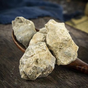 Vendita all'Ingrosso di Fabbrica Shi <span class=keywords><strong>Yan</strong></span> Zi Cyrtiospirifer Materiale Medicinale Erboristico Cinese 500g - Product Image 4