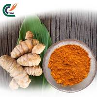 Curcumine Naturelle 95% Extrait de Curcuma Qualité Alimentaire, Base Antioxydante pour les Mélanges de Suppléments pour les Articulations et la Santé Immunitaire
