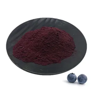 Blueberry Anthocyanin Powder Pure Natural Blueberry Extract 25% Blueberry Anthocyanin