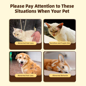 बोतलों में कस्टम प्राकृतिक पालतू पूरक मछली अनुप्रयोग कुत्तों और बिल्लियों के लिए त्वचा और कोट स्वास्थ्य का समर्थन करता है - Product Image 3