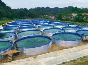 Réservoir Yu de haute qualité 2,25 m en <span class=keywords><strong>bâche</strong></span> d'acier galvanisé, équipement d'aquaculture, protection contre les incendies de forêt, stockage d'eau - Product Image 4