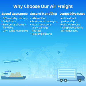 خدمات الشحن الجوي السريع من الباب إلى الباب من الصين إلى الولايات المتحدة/الاتحاد الأوروبي، شحن أمازون FBA مع الضرائب المشمولة، خدمة شحن جوي - Product Image 2