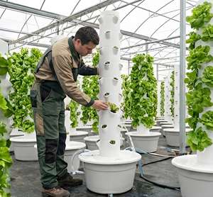 ปั๊มไฮโดรโปนิกส์แนวตั้งอัจฉริยะสำหรับระบบปลูกผักในบ้านแบบกะทัดรัด - Product Image 2