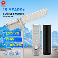 Lampadaire solaire tout-en-un intégré 30W 60W 80W 100W 120W 140LM/W avec boîtier en aluminium, compatible OEM ODM