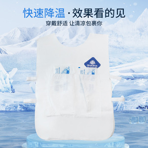 <b>Cooling</b> Vest With Ice Packs For Outdoor Heatstroke Prevention Breathable Polyester Hike Use - Product Image 1