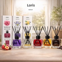 Diffuseur d'arômes pour le commerce transfrontalier, aromathérapie aux huiles essentielles, senteurs fruitées, bâtonnets en rotin, usage intérieur ; Modèle Sg-100 Direct