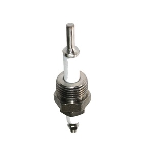 Sensor de Nivel de Agua para Caldera, Electrodos de Acero Inoxidable SS304 PTFE - Product Image 1