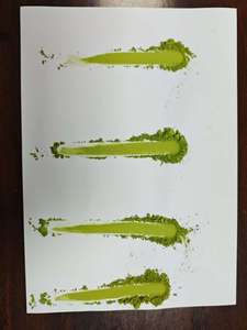 Matcha en Polvo Premium para Lattes - Sin Amargor y Suave, Grado Mayorista Económico, Bolsa a Granel de 1kg para Uso Diario - Product Image 5