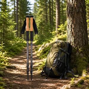 Bâtons <span class=keywords><strong>de</strong></span> <span class=keywords><strong>marche</strong></span> nordique télescopiques en aluminium personnalisés, 3 sections, légers, pointe en caoutchouc, capacité <span class=keywords><strong>de</strong></span> 250 lb - Product Image 5