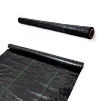 PP tissé couvre-sol maille Anti-herbe contrôle des mauvaises herbes tissu bloqueur paillis Film plastique UV coupe rouleau UV traité tapis de mauvaises herbes rouleau