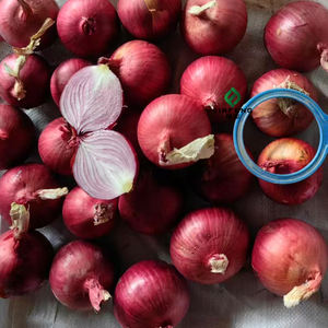 Cebollas Frescas Amarillas/Rojas en Bolsas de 50 kg al por Mayor, Garantía de Recompra del 100% - Product Image 3