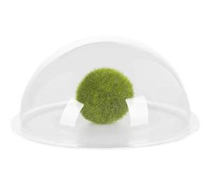 Trong suốt Acrylic bán cầu chống bụi hiển thị bìa, trang trí chụp đèn, bán tròn mèo Giường nhựa cây nhà - Product Image 4