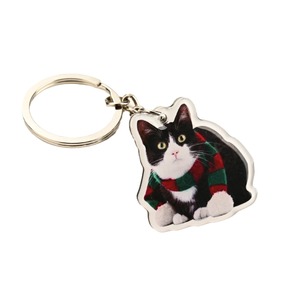 Porte-clés en acrylique Changfen, pendentif personnalisé en résine époxy, cadeau d'entreprise, cadeaux publicitaires, lot en gros - Product Image 1