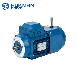 0.12 kW ~ 22 kW <span class=keywords><strong>yej</strong></span> loạt ba giai đoạn cảm ứng AC không thấm nước phanh điện động cơ - Product Image 2