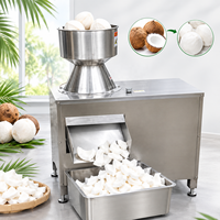 Industriële Automatische Kokosnoot Grinder Machine Multifunctionele Verwerkingsapparatuur Voor Kokosmelk Fruit Groenten Duurzaam
