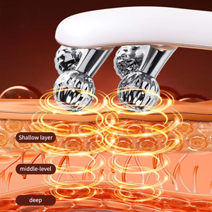 <span class=keywords><strong>Appareil</strong></span> de soin du visage à domicile, rouleau à <span class=keywords><strong>micro</strong></span>-<span class=keywords><strong>courant</strong></span>, outil de lifting électrique, <span class=keywords><strong>anti</strong></span>-<span class=keywords><strong>rides</strong></span>, utilisé pour lisser les ridules - Product Image 5