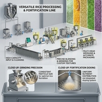 Ligne de traitement automatique du riz nutritionnel avec mélangeur et friteuse, capacité de 300-500 kg/h, équipement de riz en acier inoxydable de qualité alimentaire