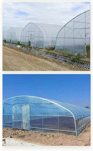 <span class=keywords><strong>Serre</strong></span> agricole de qualité supérieure à simple travée avec film plastique PE anti-UV et structure en arche - Product Image 4
