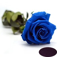 Colorants solubles dans l'eau multicolores Colorants bleus pour fleurs naturelles