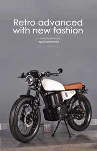 Motocicleta Todoterreno de Estilo Vintage, Motocicleta Urbana de Alta Potencia para Adultos en Oferta - Product Image 3