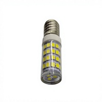 Ampoules LED Candelabra E14 5W AC/DC12-24V, blanc chaud 3000K, lumière du jour 6000K, mini-lampes