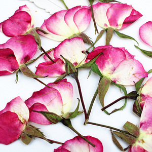 <span class=keywords><strong>Rose</strong></span> Rosa Essiccate con Stelo, Boccioli di Rosa Veri per Regalo di San Valentino, Decorazioni Fai-da-Te - Product Image 1